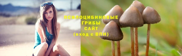 марки nbome Горняк