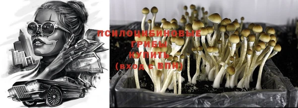 прущая мука Горнозаводск