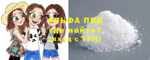 индика Краснослободск
